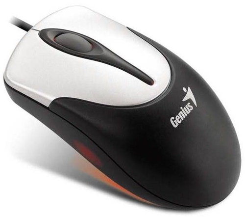 Genius NetScroll 310 silver USB - Mouse - Main image