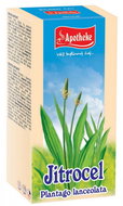 Apotheke Plantain Tea 20 x 1,5g - Tea