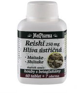 Reishi 250mg - Oyster Mushrooms - 67 Tablets - Reishi