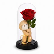 Teddy Bear Glowing Eternal Rose in Glass, Red with Teddy Bear - Decorative Lighting