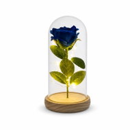 Teddy Bear Glowing Everlasting Rose in Glass, Blue with Wooden Base - Decorative Lighting