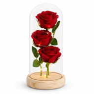Teddy Bear Luminous Eternal Rose in Glass, Three Red Roses - Decorative Lighting
