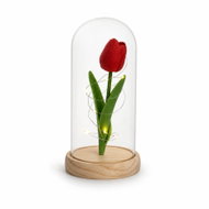 Teddy Bear with Luminous Eternal Tulip in Glass, Red - Decorative Lighting