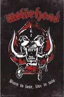 Motorhead: Born To Lose - poster - Poster