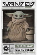 The Mandalorian: Wanted The Child - plakát  - Plakát