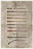 Harry Potter The Wand Chooses The Wizard - Poster