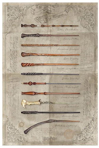 Harry Potter The Wand Chooses The Wizard - Poster - Main image