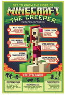 Minecraft Creepy Behaviour - Poster