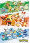 Pokémon First Partners - Plakát