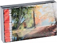 Lienbacher Fireplace matches 55 pcs, 10 cm - Firelighter