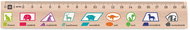 METRIE Didakt M02 wooden, geometric shapes, 20 cm - Ruler