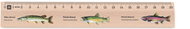 METRIE Didakt M02 wooden, fish, 20 cm - Ruler