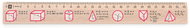 METRIE Didakt M07 wooden, body volumes, 25 cm - Ruler