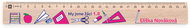 METRIE Didakt M07 wooden, pupils 1. B, 25 cm - Ruler