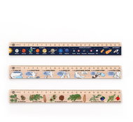 METRIE DSM07 school set of three rulers, 25 cm - Ruler