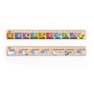 METRIE DSM09 school set of two rulers, 25 cm - Ruler