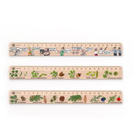 METRIE DSM10 school set of three rulers, 25 cm - Ruler