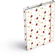 MFP box A5 Ladybugs - School Folder