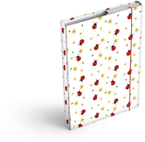 MFP box A5 Ladybugs - School Folder - Main image