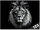 Number Slices Lion