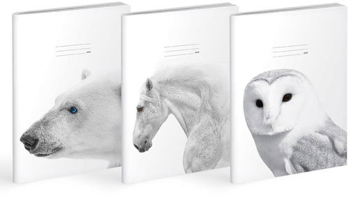 MFP Lux A4 444 - set 3 ks - Exercise Book - Main image