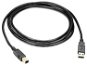 Roline USB 2.0 prepojovací 4.5 m A-B, čierny - Dátový kábel