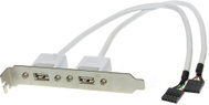  Bracket with 2 USB connectors on the motherboard  - Accessory