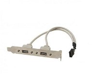 OEM 2 Port USB Bracket for the Motherboard - Blanking Plate