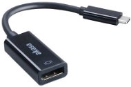 AKASA USB-C to DisplayPort - Redukcia
