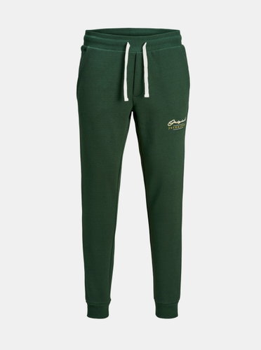 Jack &amp; Jones Green Sweatpants Will XXL - Sweatpants - Main image
