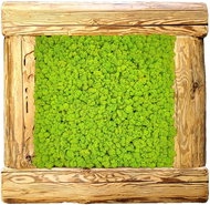 MossArtDeco Painting 50 × 50 cm, light green moss, rough frame - old wood structure - Painting