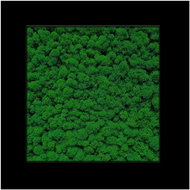 MossArtDeco Painting 50 × 50 cm, deep green moss, black rough frame - Painting