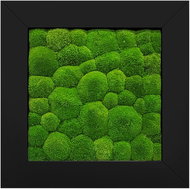 MossArtDeco Painting 50 × 50 cm, light green moss, black frame - Painting