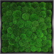 MossArtDeco Painting 50 × 50 cm, dark green moss, black frame - Painting