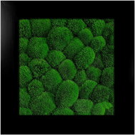 MossArtDeco Painting 50 × 50 cm, dark green moss, black wide frame - Painting