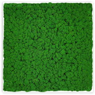 MossArtDeco Painting 50 × 50 cm, deep green low moss, white thin frame - Painting