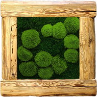 MossArtDeco Painting 50 × 50 cm, light and dark green low moss, frame - old wood structure - Painting