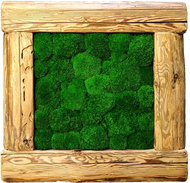MossArtDeco Painting 50 × 50 cm, dark green moss, frame - old wood structure - Painting