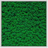MossArtDeco Painting 50 × 50 cm, dark green moss, grey thin frame - Painting