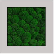 MossArtDeco Painting 50 × 50 cm, dark green moss, grey rough frame - Painting