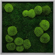MossArtDeco Painting 50 × 50 cm, combination of moss and low moss, grey frame - Painting