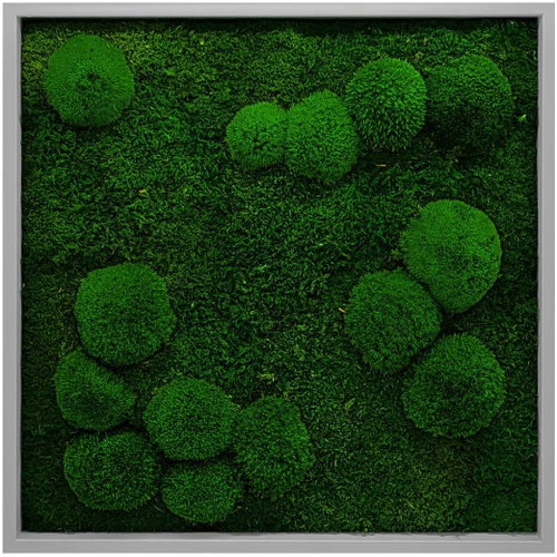 MossArtDeco Painting 50 × 50 cm, dark green low moss, grey thin frame - Painting - Main image