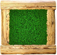 MossArtDeco Painting 50 × 50 cm, dark green low moss, frame - old wood structure - Painting