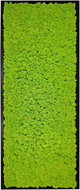 MossArtDeco Obraz 110 × 60 cm, světle zelený nízký mech, šedý tenký rám - Painting