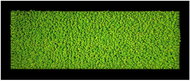 MossArtDeco Painting 110 × 60 cm, light green low moss, black rough frame - Painting