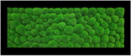 MossArtDeco Painting 110 × 60 cm, light green moss, black rough frame - Painting