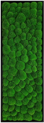 MossArtDeco Painting 110 × 60 cm, light green moss, black thin frame - Painting - Main image