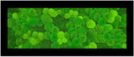 MossArtDeco Painting 110 × 60 cm, light green moss and low moss, black frame - Painting