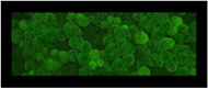 MossArtDeco Painting 110 × 60 cm, dark green moss and low moss, black frame - Painting