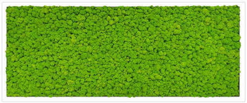 MossArtDeco Painting 110 × 60 cm, light green low moss, white thin frame - Painting - Main image